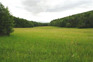 Celkový pohľad na lokalitu